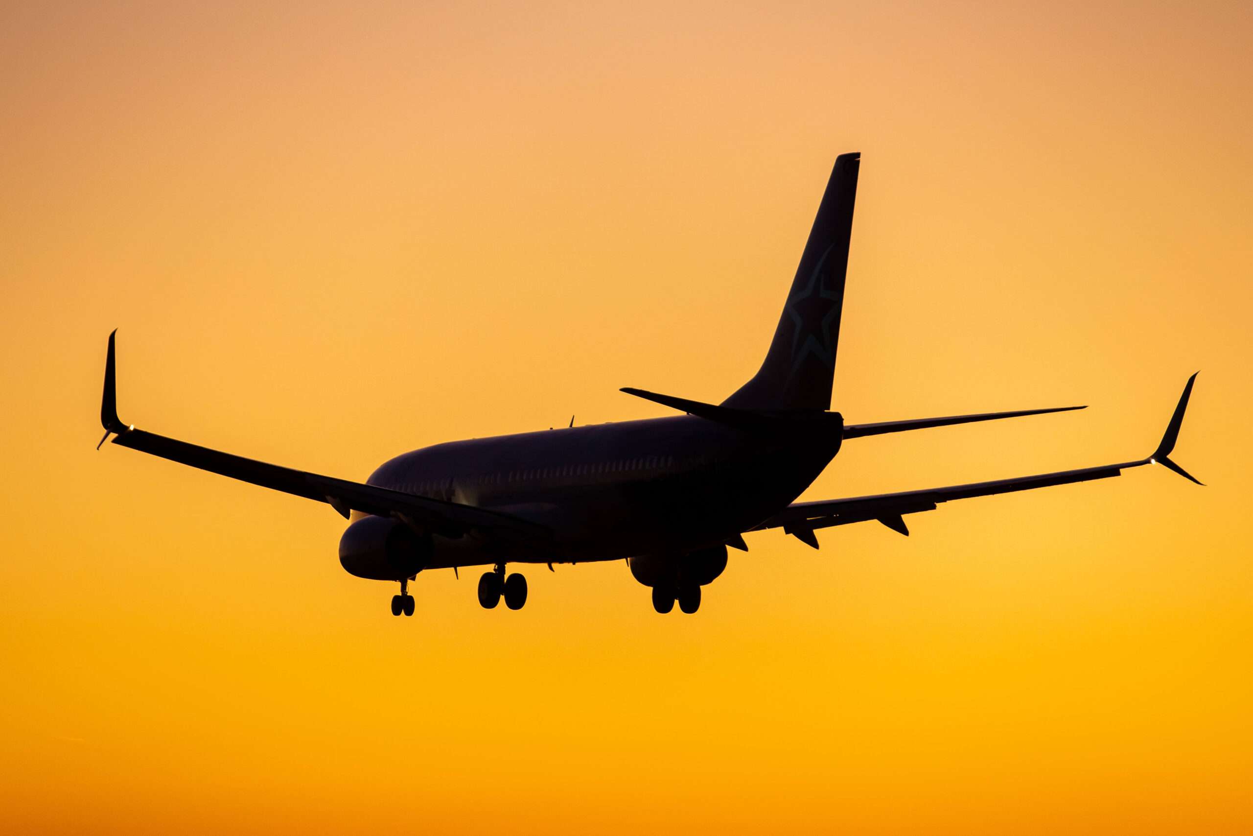 Flight School and Aviation Advertising